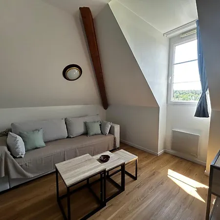 Apartament T2 Renove Avec Piscine Chauffee Proche Thermes, Parking Et Wifi - Fr-1-541-164 *