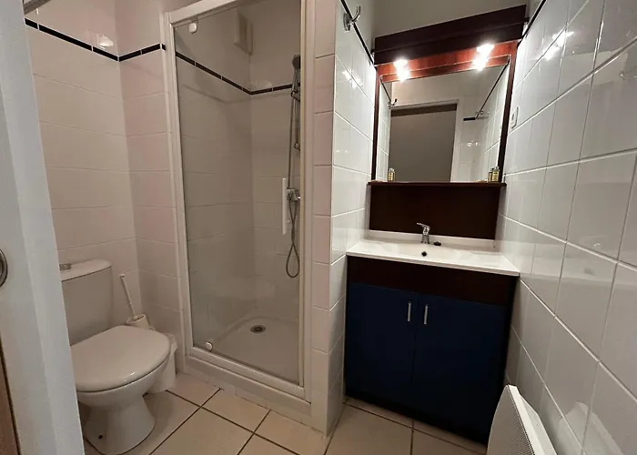 T2 Renove Avec Piscine Chauffee Proche Thermes, Parking Et Wifi - Fr-1-541-164 拉罗什波赛